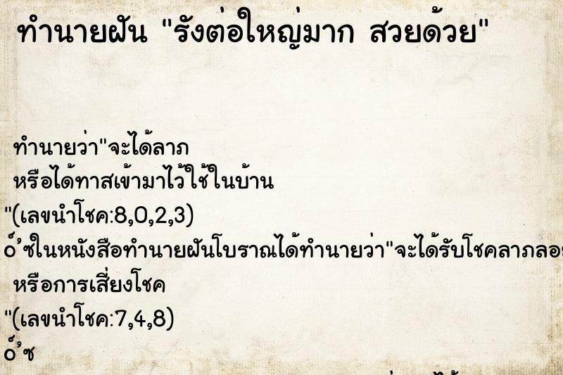 ทำนายฝัน รังต่อใหญ่มาก สวยด้วย ทำนายฝัน รังต่อใหญ่มาก สวยด้วย